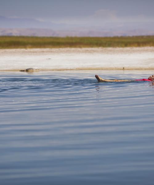 Turismo en Atacama. Arqueológico, Valle de la Luna, Laguna Cejar, Lagunas Altiplánicas, Geyser del Tatio (6 dí­as/5 noches)